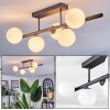 Chehalis Plafonnier, Boule lumineuse Blanc, 5 lumières