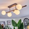 Chehalis Plafonnier, Boule lumineuse Blanc, 5 lumières