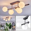 Chehalis Plafonnier, Boule lumineuse Blanc, 5 lumières