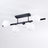 Chehalis Plafonnier, Boule lumineuse Blanc, 5 lumières