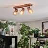 Nelar Plafonnier, Spot de plafond Bronze, Chrome, 3 lumières