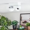 Narel Plafonnier, Spot de plafond LED Blanc, 2 lumières