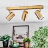Javel Plafonnier, Spot de plafond Or, 3 lumières