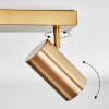 Javel Plafonnier, Spot de plafond Or, 3 lumières