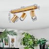 Javel Plafonnier, Spot de plafond Or, 3 lumières
