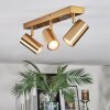 Javel Plafonnier, Spot de plafond Or, 3 lumières