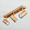 Javel Plafonnier, Spot de plafond Or, 3 lumières