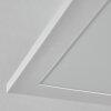 Orain Plafonnier, Panel LED Blanc, 1 lumière, Changeur de couleurs