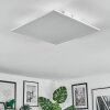 Orain Plafonnier, Panel LED Blanc, 1 lumière, Changeur de couleurs