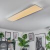 Orain Plafonnier, Panel LED Blanc, 1 lumière, Changeur de couleurs