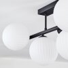 Chehalis Plafonnier, Boule lumineuse Noir, 5 lumières