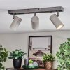 Javel Plafonnier, Spot de plafond Chrome, Gris, 3 lumières