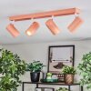 Javel Plafonnier, Spot de plafond Rose, Blanc, 4 lumières