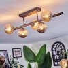 Chehalis Plafonnier, Boule lumineuse Noir, 5 lumières