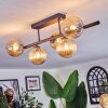Chehalis Plafonnier, Boule lumineuse Noir, 5 lumières