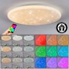 Peran Plafonnier LED Blanc, 1 lumière, Changeur de couleurs
