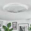Peran Plafonnier LED Blanc, 1 lumière