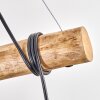 Ripoll Suspension, Boule lumineuse, Suspension Écru, Noir, 5 lumières
