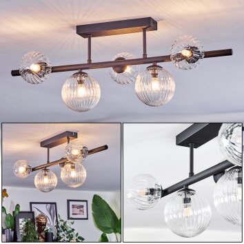 Chehalis Plafonnier, Boule lumineuse Clair, 5 lumières