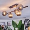Chehalis Plafonnier, Boule lumineuse Fumé, 5 lumières