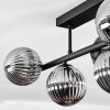 Chehalis Plafonnier, Boule lumineuse Fumé, 5 lumières
