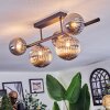 Chehalis Plafonnier, Boule lumineuse Fumé, 5 lumières
