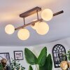Chehalis Plafonnier, Boule lumineuse Blanc, 5 lumières