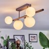 Chehalis Plafonnier, Boule lumineuse Blanc, 5 lumières