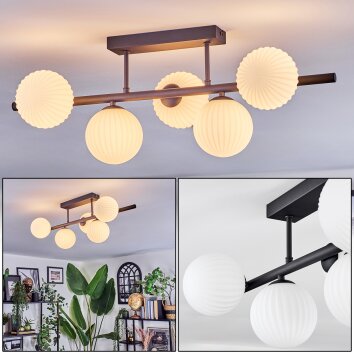 Chehalis Plafonnier, Boule lumineuse Blanc, 5 lumières