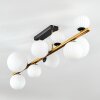 Chehalis Plafonnier, Boule lumineuse Or, Noir, 10 lumières