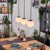 Gastor Suspension, Boule lumineuse, Suspension Blanc, 3 lumières