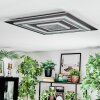 Lidor Plafonnier LED Anthracite, Gris, Noir, 1 lumière