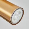 Javel Plafonnier, Spot de plafond Or, 4 lumières