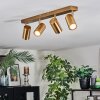 Javel Plafonnier, Spot de plafond Or, 4 lumières