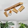 Javel Plafonnier, Spot de plafond Or, 4 lumières