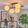 Gastor Plafonnier, Boule lumineuse Blanc, 5 lumières
