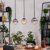 Gastor Suspension, Boule lumineuse, Suspension Ambre, Clair, Fumé, 3 lumières