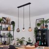 Gastor Suspension, Boule lumineuse, Suspension Ambre, Clair, Fumé, 3 lumières