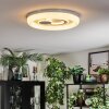 Rarel Plafonnier LED Argenté, Blanc, 1 lumière