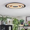 Lidor Plafonnier LED Noir, 1 lumière