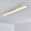 Plafonnier Bonifacio LED Blanc, 1 lumière