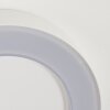 Applique murale d'extérieur  Paleroo LED Blanc, 1 lumière