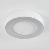 plafonnier extérieur  Paleroo LED Blanc, 1 lumière