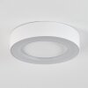 plafonnier extérieur  Paleroo LED Blanc, 1 lumière
