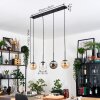 Gastor Suspension, Boule lumineuse, Suspension Ambre, Clair, Fumé, 4 lumières