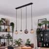 Gastor Suspension, Boule lumineuse, Suspension Ambre, Clair, Fumé, 4 lumières