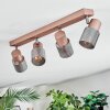 Nelar Plafonnier, Spot de plafond Bronze, Chrome, 4 lumières