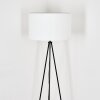 Flemming Lampadaire Noir, 1 lumière