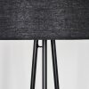 Flemming Lampadaire Noir, 1 lumière