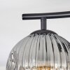 Ripoll Plafonnier, Boule lumineuse Clair, Fumé, 2 lumières